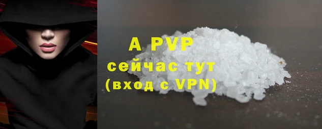 шишки Новокубанск